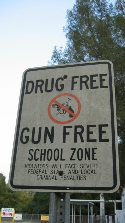 “Guardian Programs” against school shootings: is arming school staffs the answer? 3.jpg