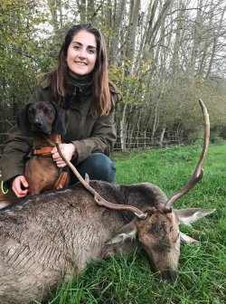 A young, competitive shooting champion and huntress Hannah Gibson with bavarian mountain hounds.