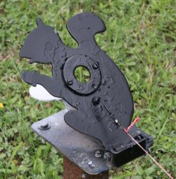 Squirrel Field Target