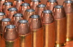 The Shooter's Talk – The myth of “poisonous” lead ammo 1 (1).jpg