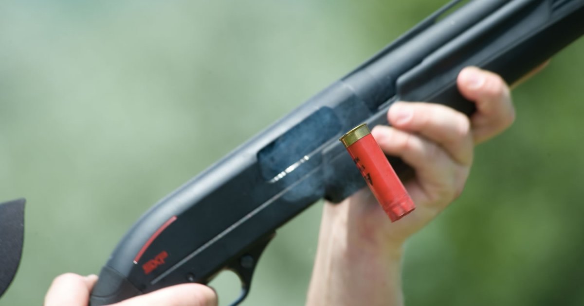 The myth of “poisonous” lead ammo all4shooters