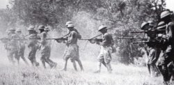 The story of the assault rifle - Part 1: Before the Sturmgewehr The French CSRG m1915 automatic rifle