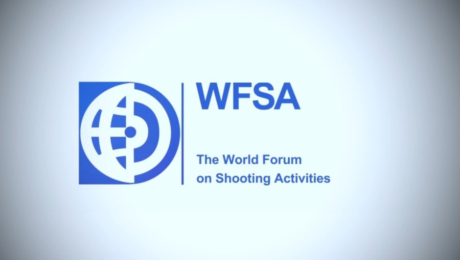 WFSA 2015 plenary in Nuremberg WFSA 2015 plenary in Nuremberg