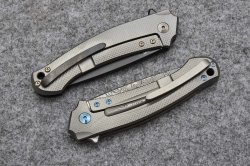 The titanium scales of the MKM Arvenis