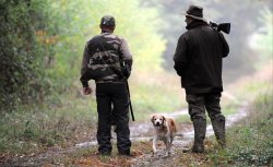 EU gun ban: economic considerations on hunting in France The release of the BIPE study on hunting in France spurs some considerations concerning the planned EU gun ban