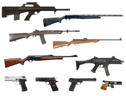 A new threat from Brussels: proposed EU "White Paper" is nothing short of an outright gun ban! A new threat from Brussels: proposed EU "White Paper" is nothing short of an outright gun ban!
