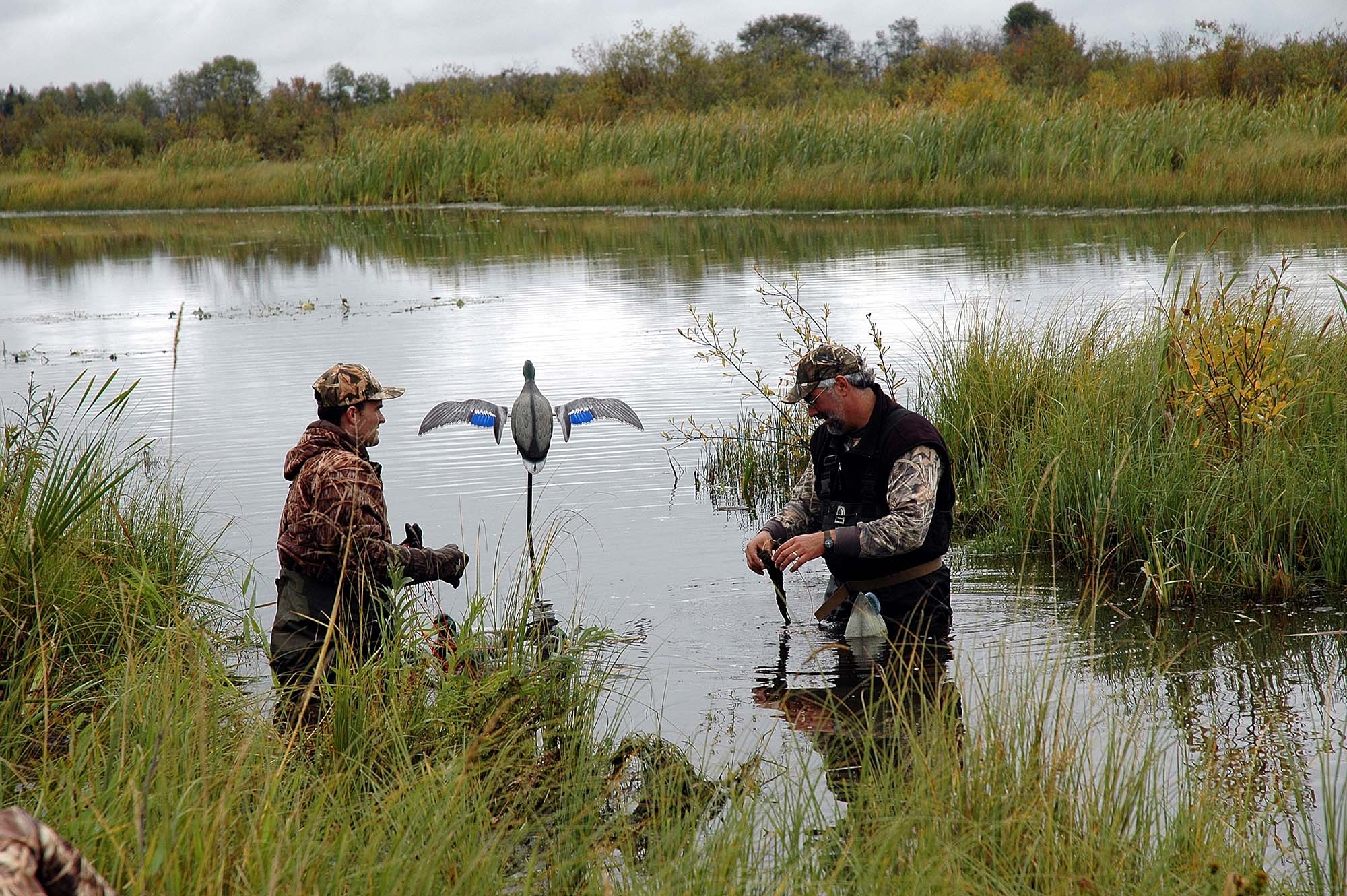 ammunition: +++ UPDATE November 25th +++ Lead ammunition and wetlands: the battle continues. What can we do?