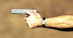Armed citizens? U.S. law enforcement professionals say "YES"! Armed citizens? U.S. law enforcement professionals say "YES"!