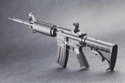 Armed citizens? U.S. law enforcement professionals say "YES"! Armed citizens? U.S. law enforcement professionals say "YES"!