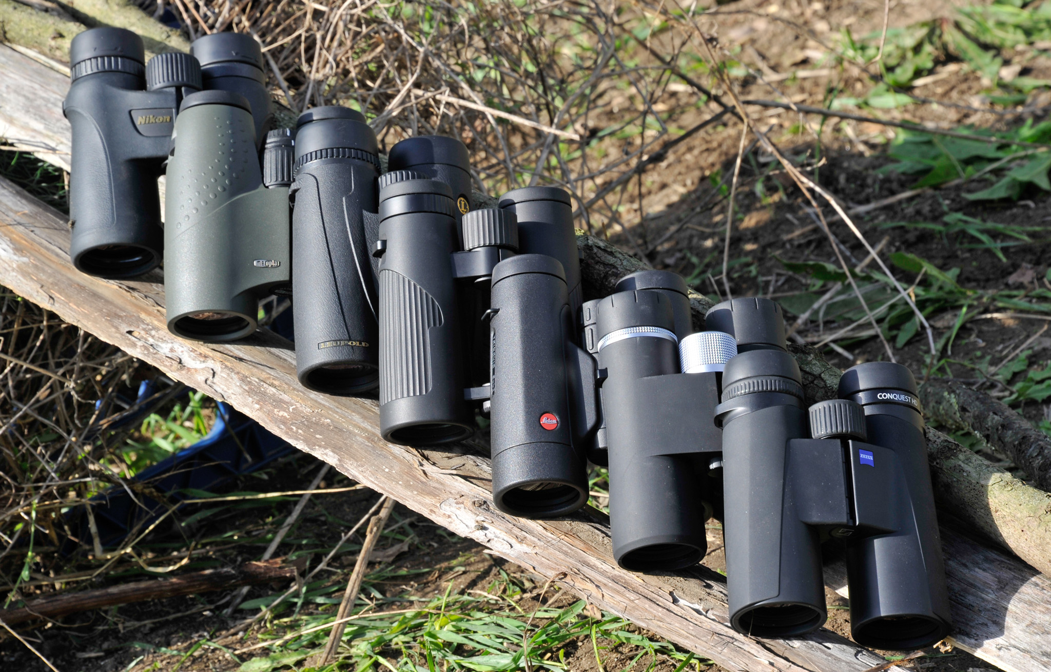 optics: 1000 Euro segment Binocular Roundup