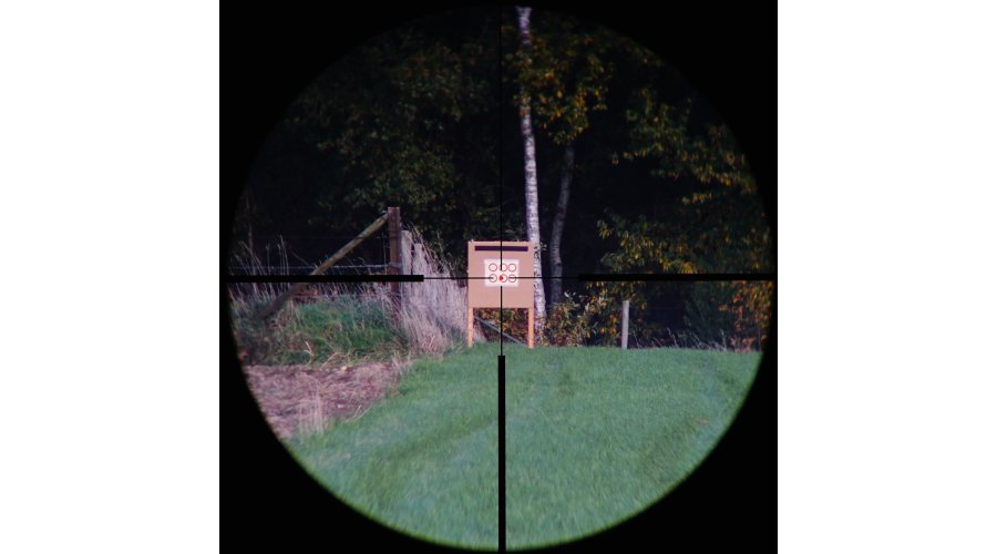 Falke, magnification 6x, distance 100 meters