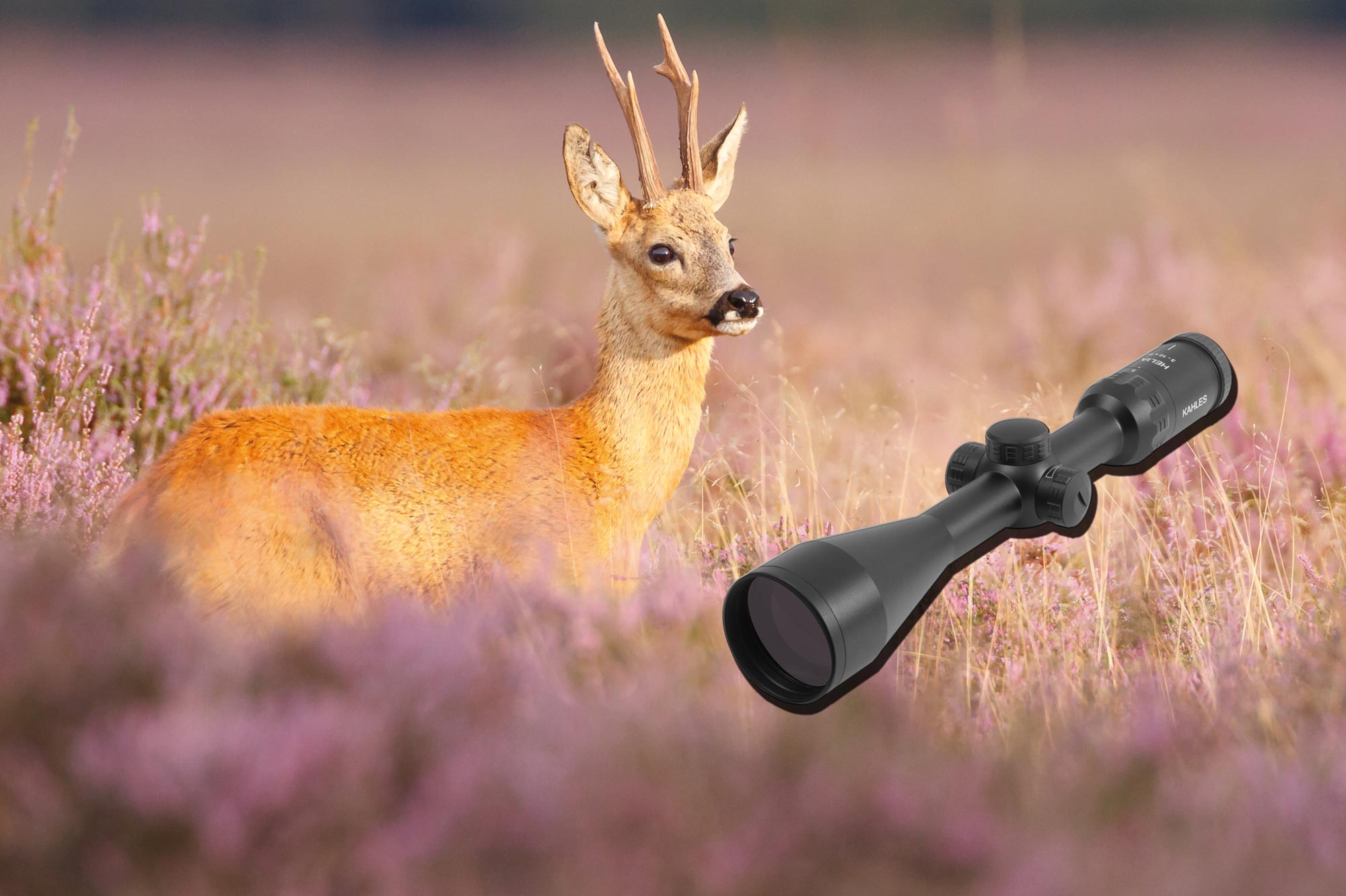 kahles: Kahles Helia 3 riflescope in August 2015