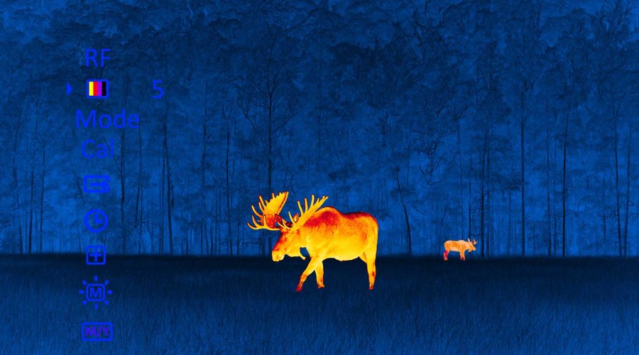 Pulsar Quantum XQ Palettes of colour