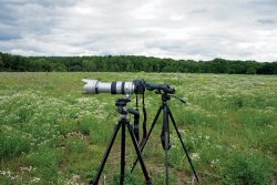 Test: Swarovski Optik STR 80 Spotting Scope Swarovski-optics-STR-80: comparison with Sony 70-400 G telephoto lens.