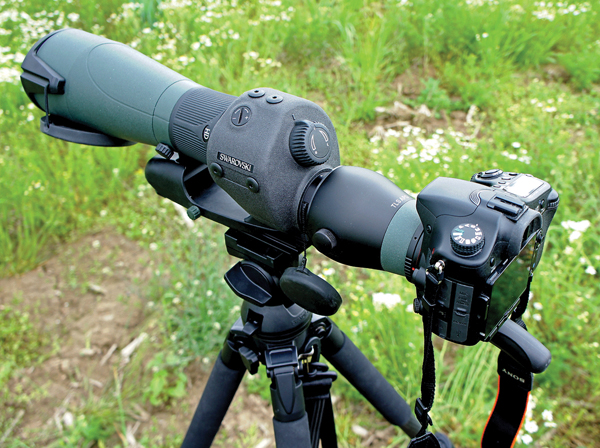 Test: Swarovski Optik STR 80 Spotting Scope 600-09-2015-Swarovski-Optik-STR-80-mit-montierter-Kamera