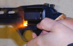 Chiappa Rhino Chiappa Rhino
