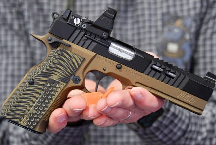 DeltaPoint Pro direct-mount optics slide