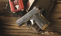 Kimber Micro Carry line of pocket pistols Paganini S.r.l. showcased the Kimber Micro Carry line of .380 ACP semi-automatic pistols at the 2016 HIT Show