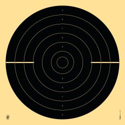 Sport pistol duelling target