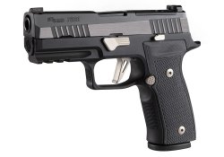 Elegance and performance: new all-steel SIG Sauer P320 AXG Equinox pistol new all-steel SIG Sauer P320 AXG Equinox pistol