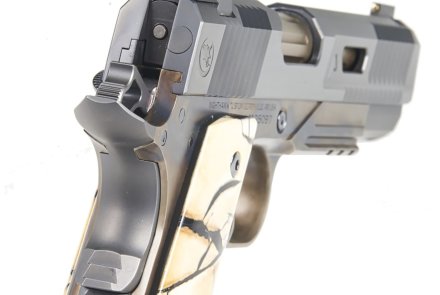 Nighthawk Custom VIP Agent 2, a (very) high-end 1911 pistol Heinie Ledge rear sight of the Nighthawk Custom VIP Agent 2 pistol