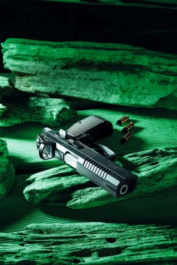 Everything about red dot sights for action disciplines with handguns: optics manufacturers, suitable guns, tips and more Phoenix