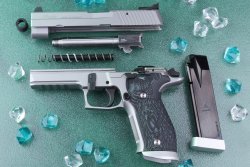 SIG Sauer Mastershop: testing the P226 LDC II from B&H SIG Sauer P226 LDC II from B&H disassebled