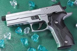 SIG Sauer Mastershop: testing the P226 LDC II from B&H SIG Sauer P226 LDC II "Target Mastershop"