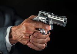 Taurus 856 Executive Grade, the first revolver of the new Executive Grade line Taurus 856 Executive Grade