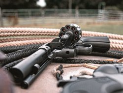 A cowboy-style revolver with interchangeable 9-shot cylinder: from Diamondback Firearms, the new Sidekick The Sidekick comes with a 9-shot cylinder .22LR