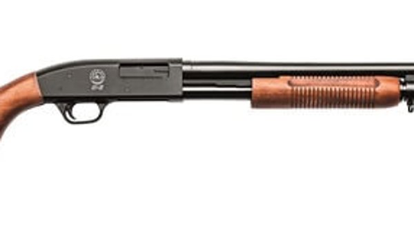 Taurus ST-12 shotgun