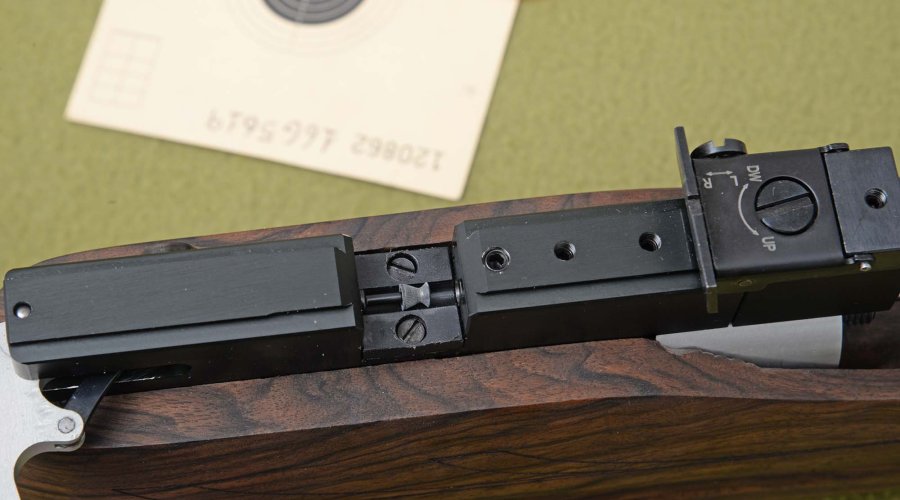 Chambered pellet
