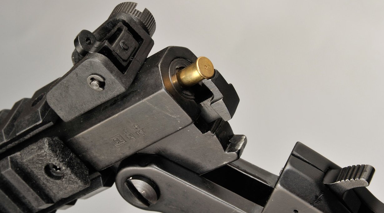 Chiappa Firearms "Little Badger"