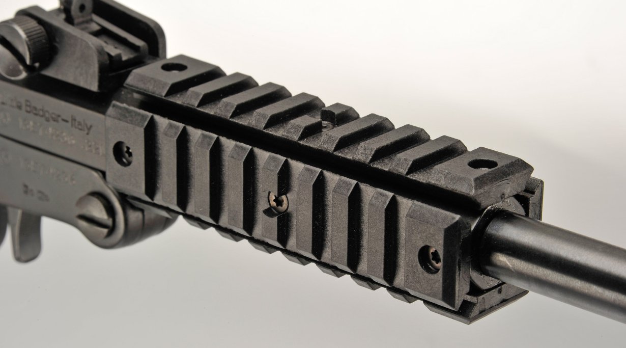 Chiappa Firearms "Little Badger"