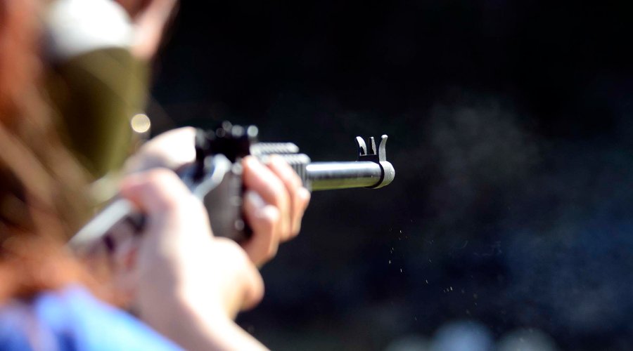 Chiappa Firearms "Little Badger" Chiappa Firearms "Little Badger"