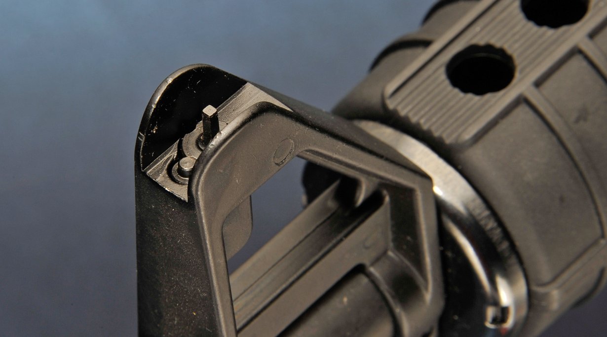 Chiappa Firearms MFour-22