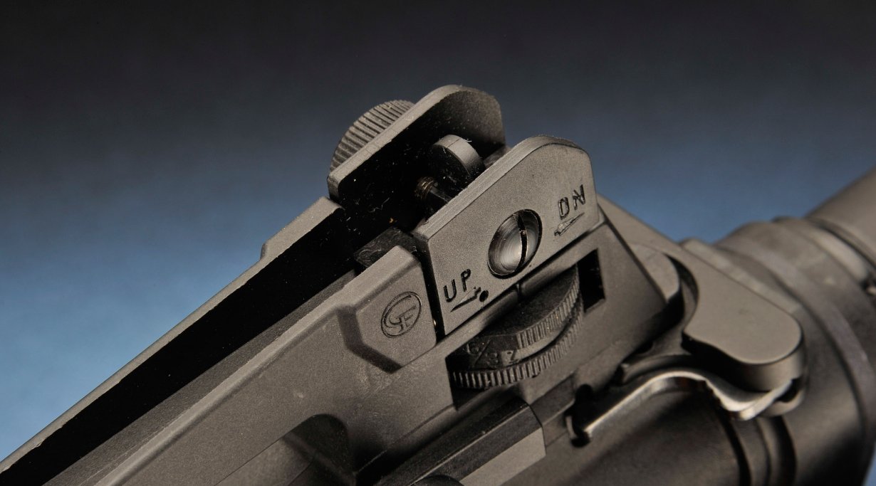 Chiappa Firearms MFour-22