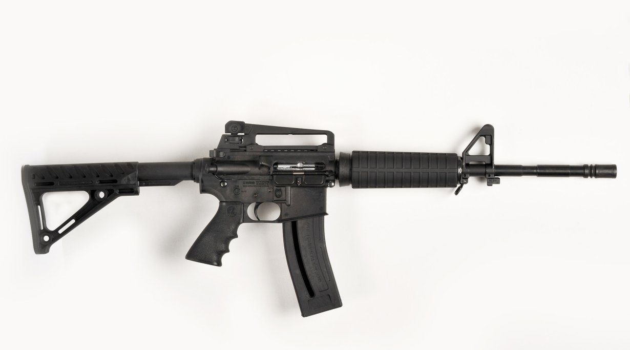 Chiappa Firearms MFour-22