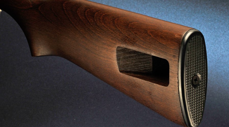 Chiappa Firearms M1-22 Chiappa Firearms M1-22