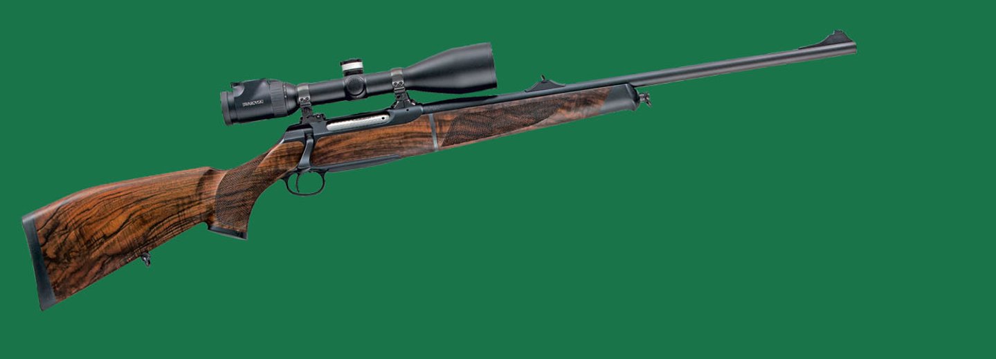 Sauer S 202 Take Down 