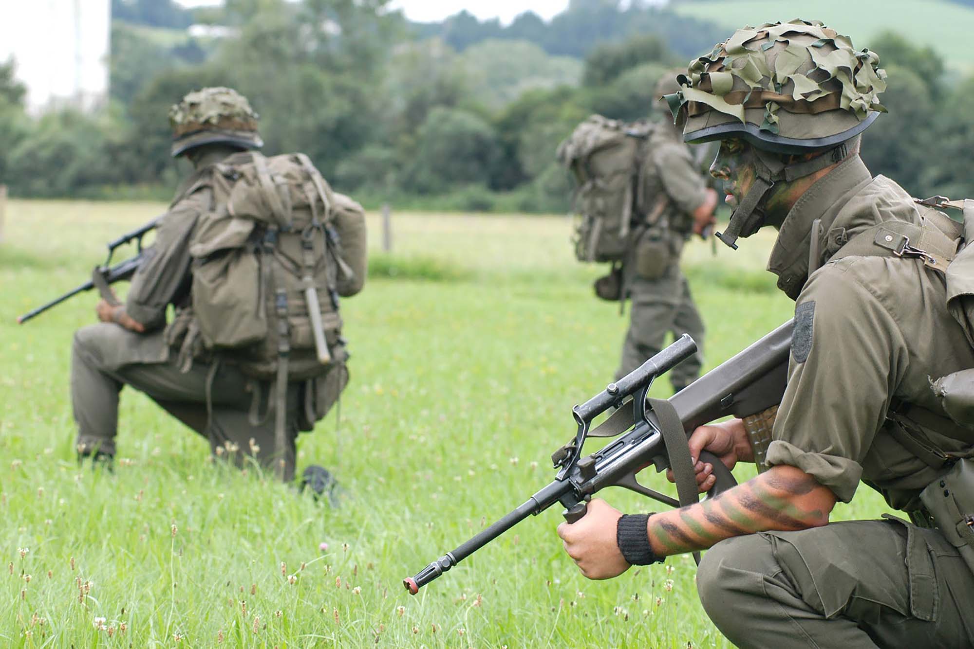 Single steyr