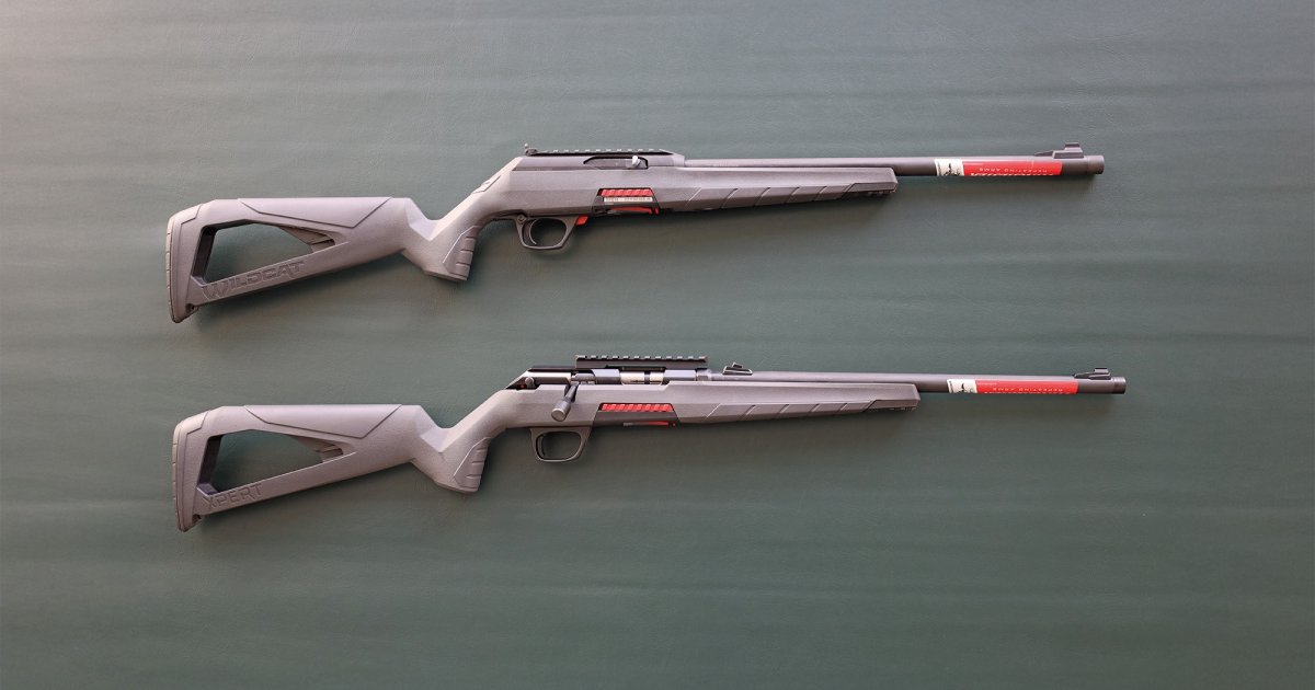 Pack Rifle .22 Winchester Xpert Composite and Wildcat – The bolt-action and ...