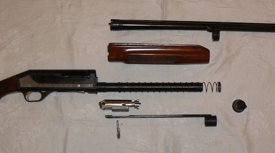 Internals of the Stoeger 2000