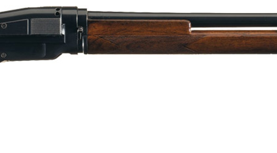 Sjogren 12 gauge shotgun
