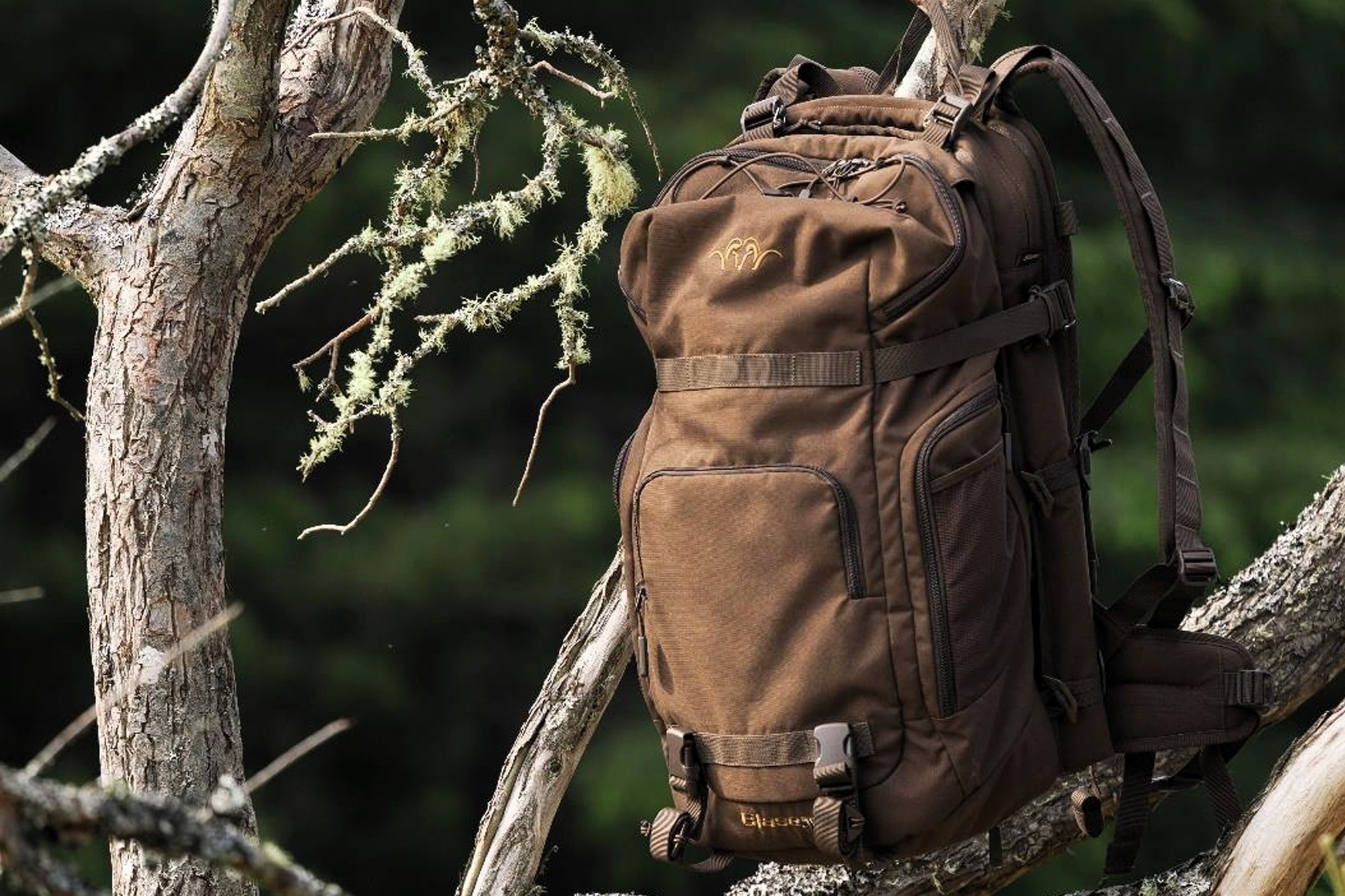 blaser: Nouveaux accessoires Blaser: système de sac à dos modulaire, veste Stealth, ainsi que lampes frontales et torches pour la chasse.