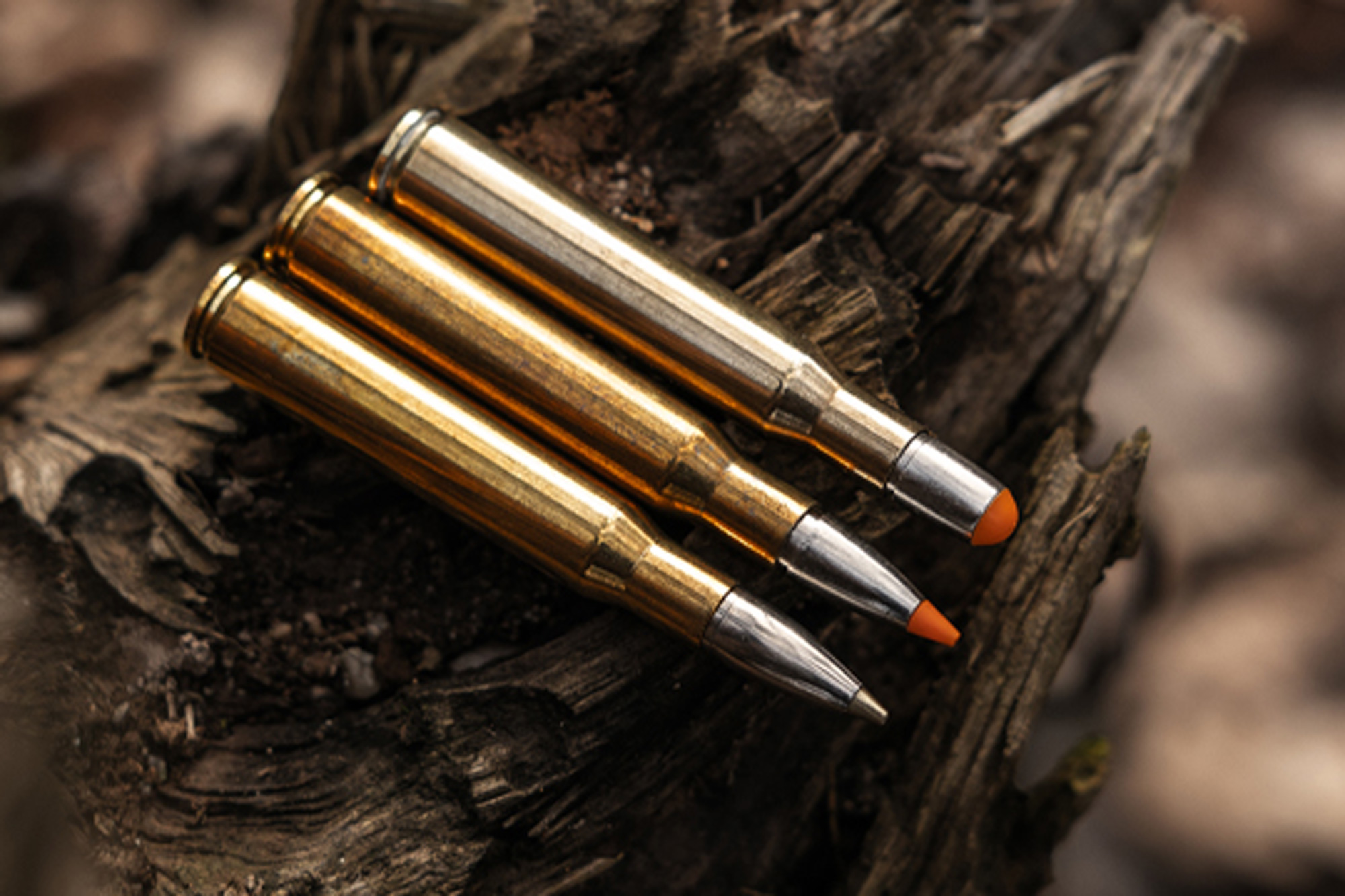 RWS EVOLUTION GREEN, RWS HIT et RWS DRIVEN HUNT: comparaison des projectiles sans plomb et des munitions de carabine pour la chasse du grand gibier