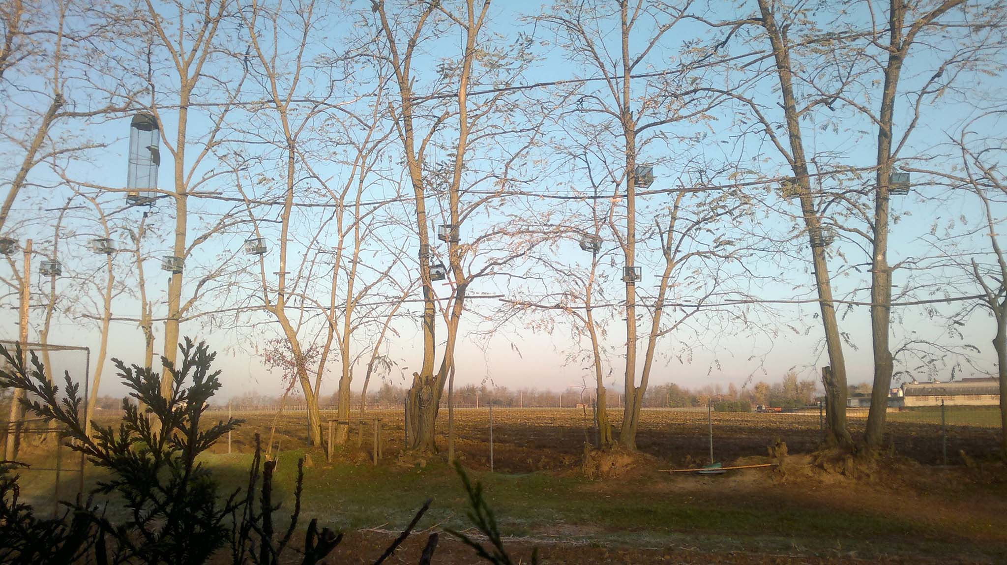 beretti: Beretti Pro 2000 plus: il fotoperiodo per i richiami da canto