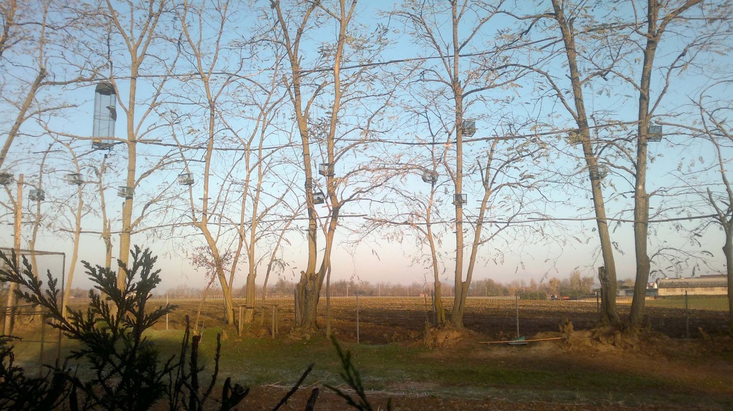 Beretti Pro 2000 plus: il fotoperiodo per i richiami da canto Richiami