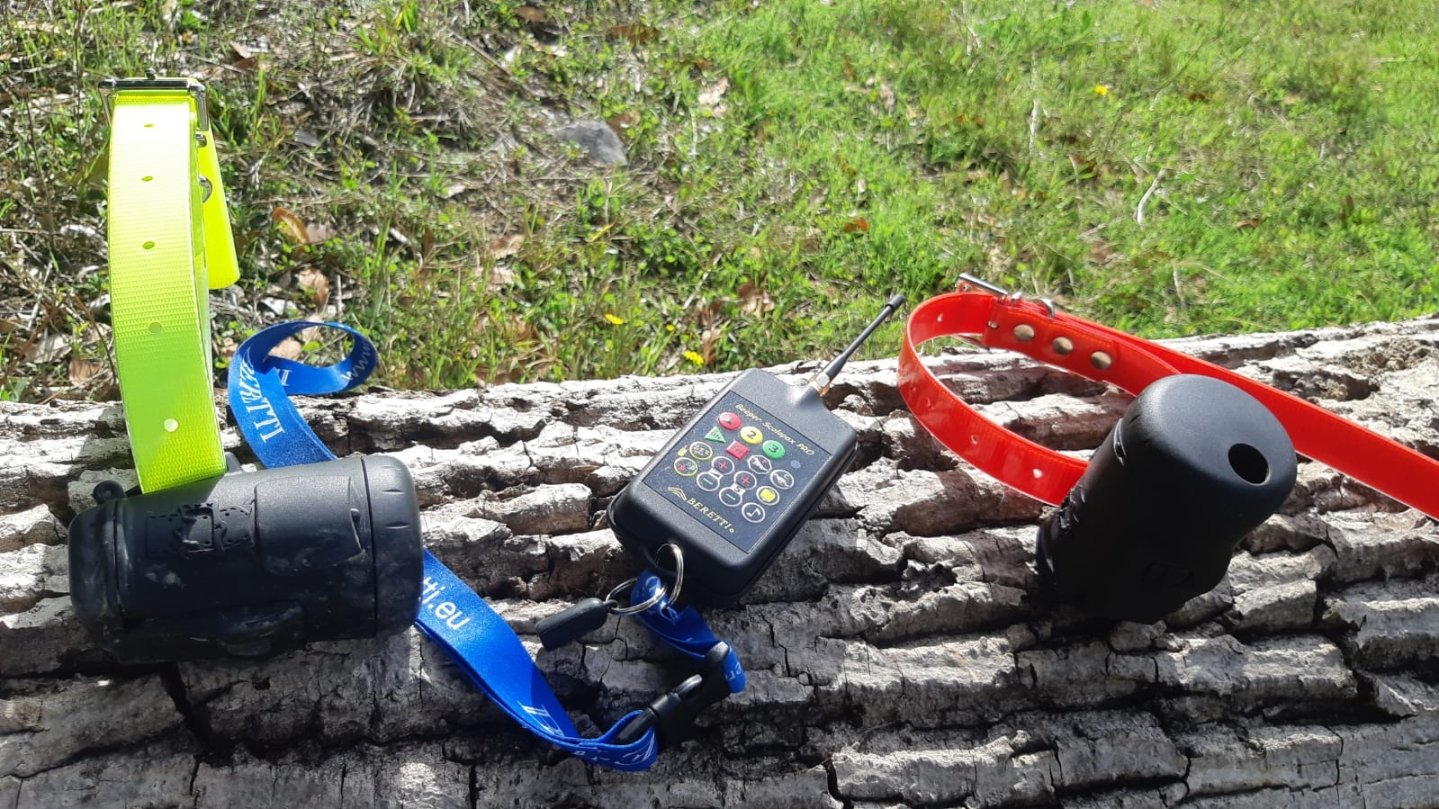 A caccia con Beretti Scolopax Pro Beretti Scolopax Pro