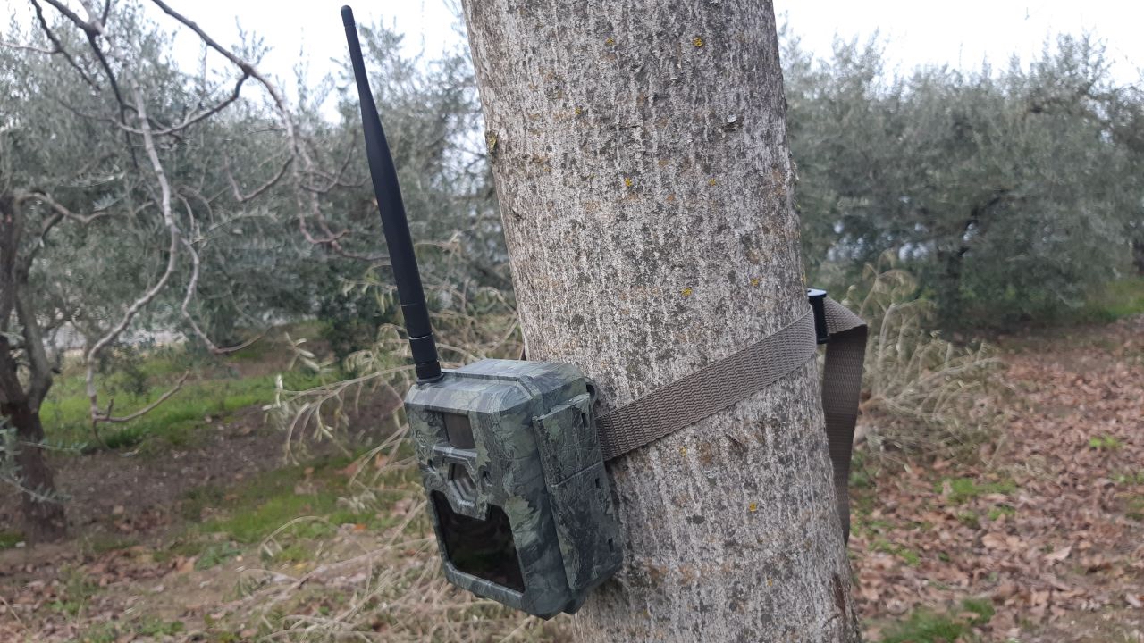 cc-hunting: Icucam 4: la fototrappola wireless 4G distribuita da C&C Hunting cc-hunting: Icucam 4: la fototrappola wireless 4G distribuita da C&C Hunting